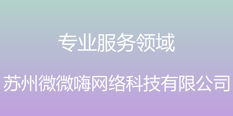 专业服务领域 - 苏州微微嗨网络科技有限公司