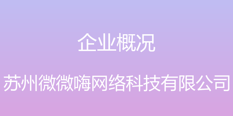 企业概况 - 苏州微微嗨网络科技有限公司